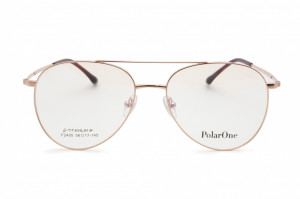 Polar One